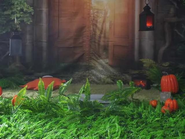 BaeBunny on BongaCams 