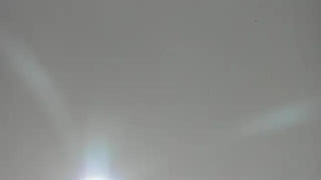 veronica_hill_ — Show anal + control lush x5min